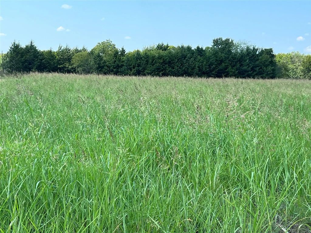 1121 County Road 3715, Gober