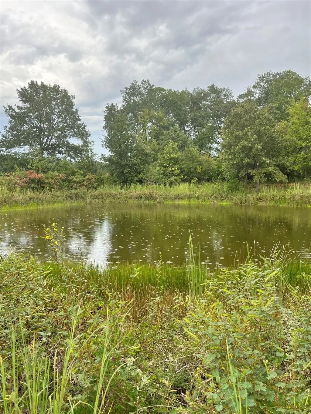 Lot 5 County Road 2310, Telephone