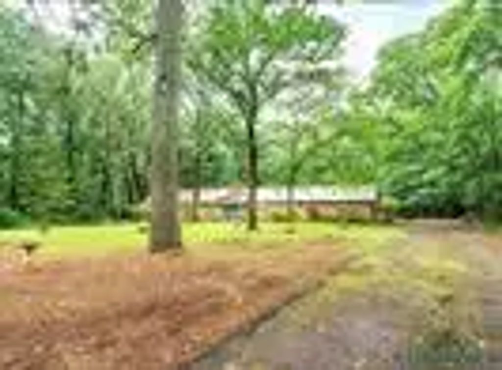 117 County Road 1131 Erin Circle, Daingerfield
