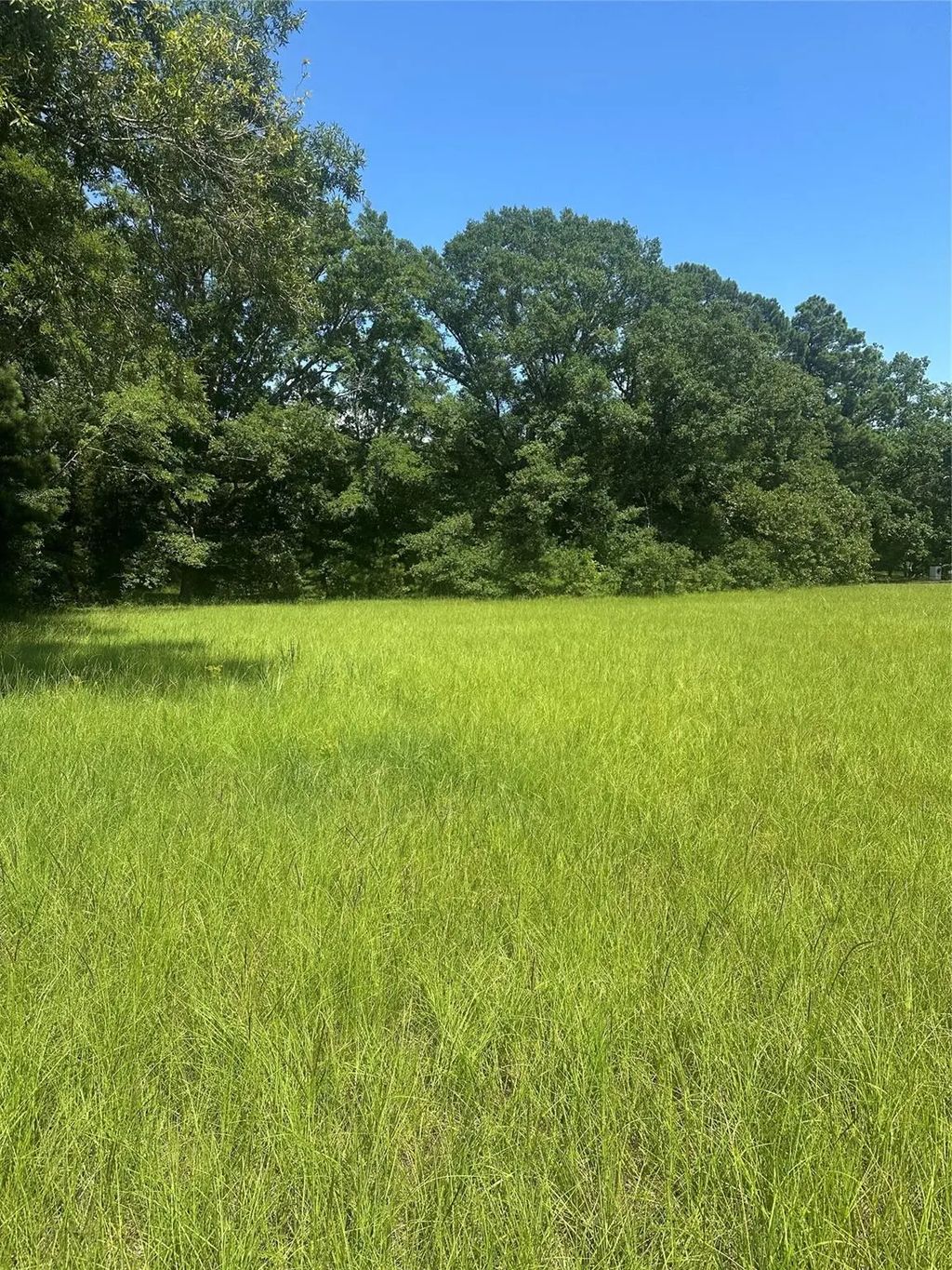 Highway 371, Cotton Valley