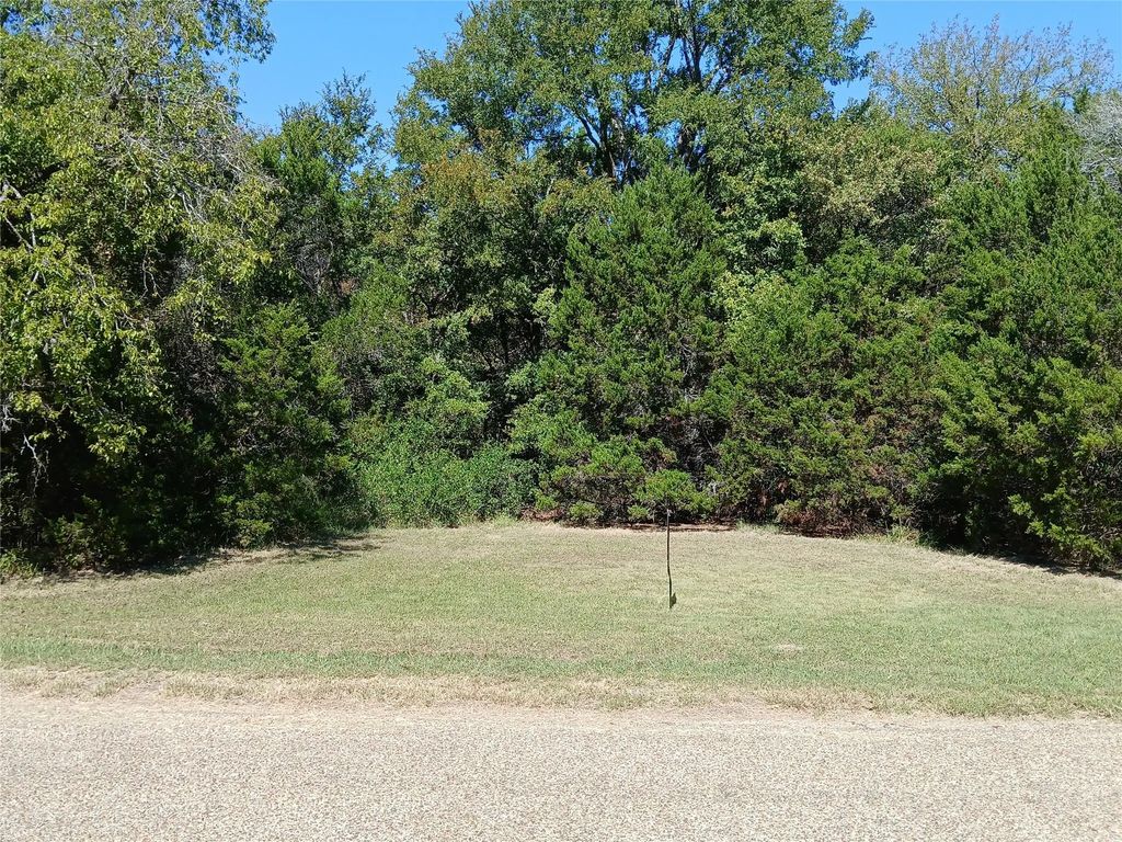Tbd Cedar Elm Drive, Whitney