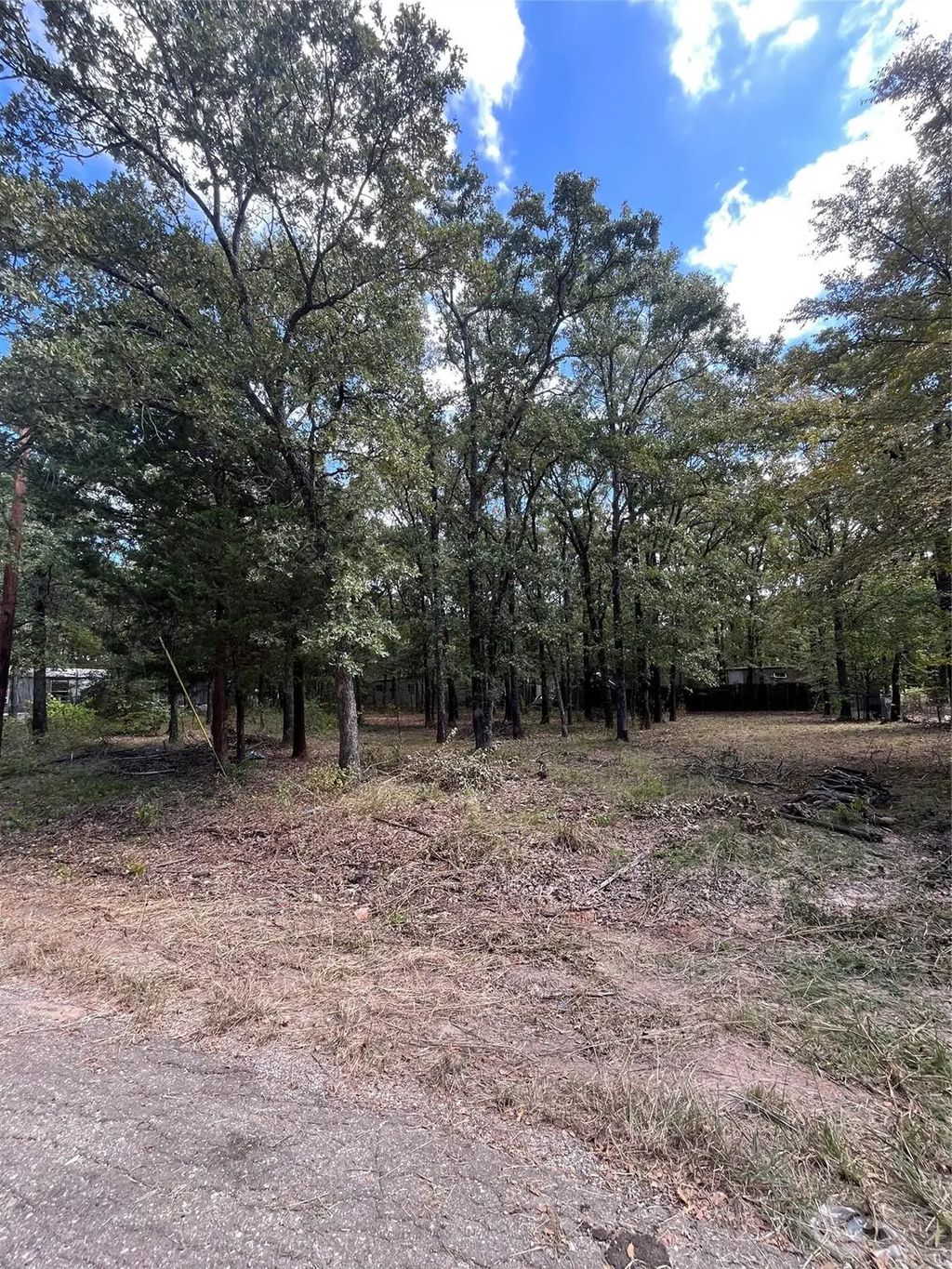 308 Navajo Trail, West Tawakoni