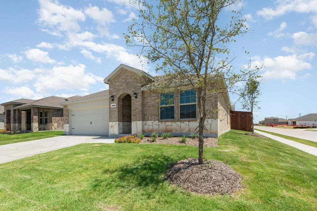 3905 Amethyst Drive, Celina