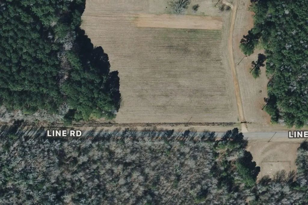 Line Road, Homer