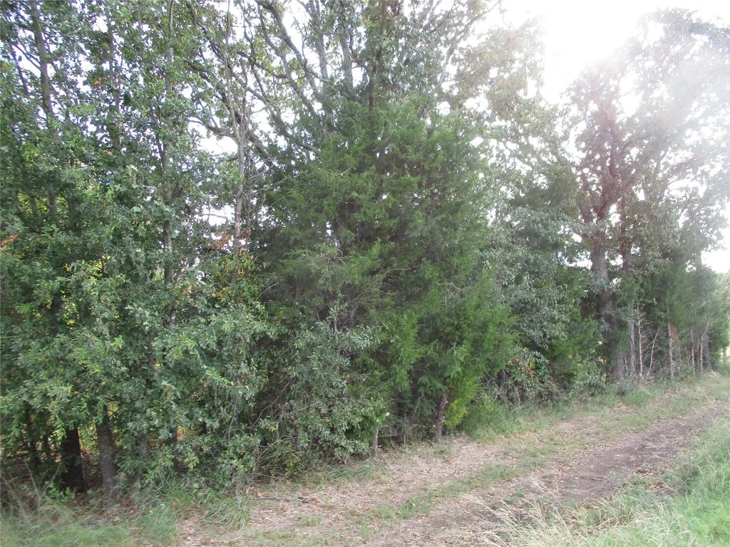 Fm-148, Scurry
