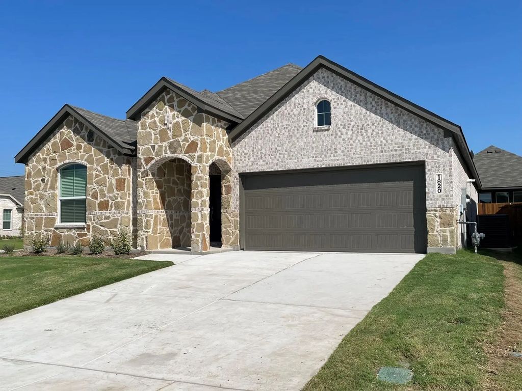 1820 Bog Spruce, McKinney