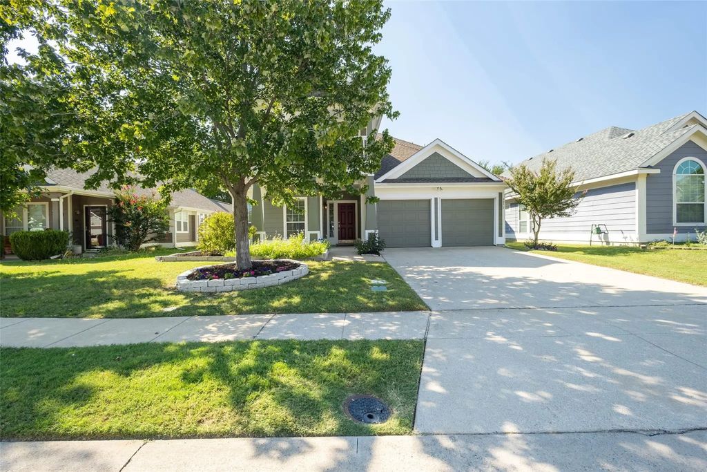 9873 Wild Ginger Drive, McKinney