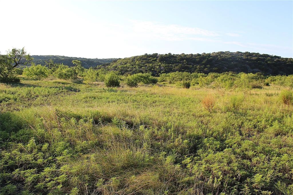 Tbd T1 Hwy 208, Robert Lee