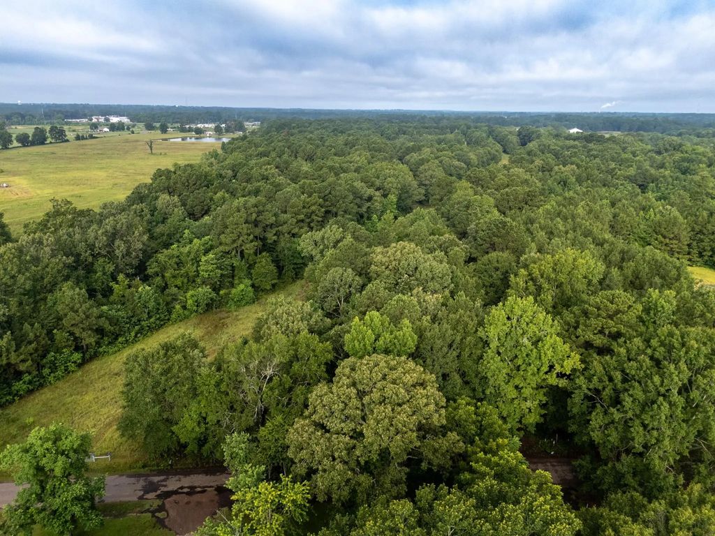 Cr 301, Carthage