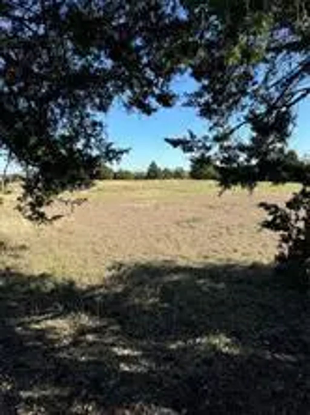 102 Red Maple Road, Gunter