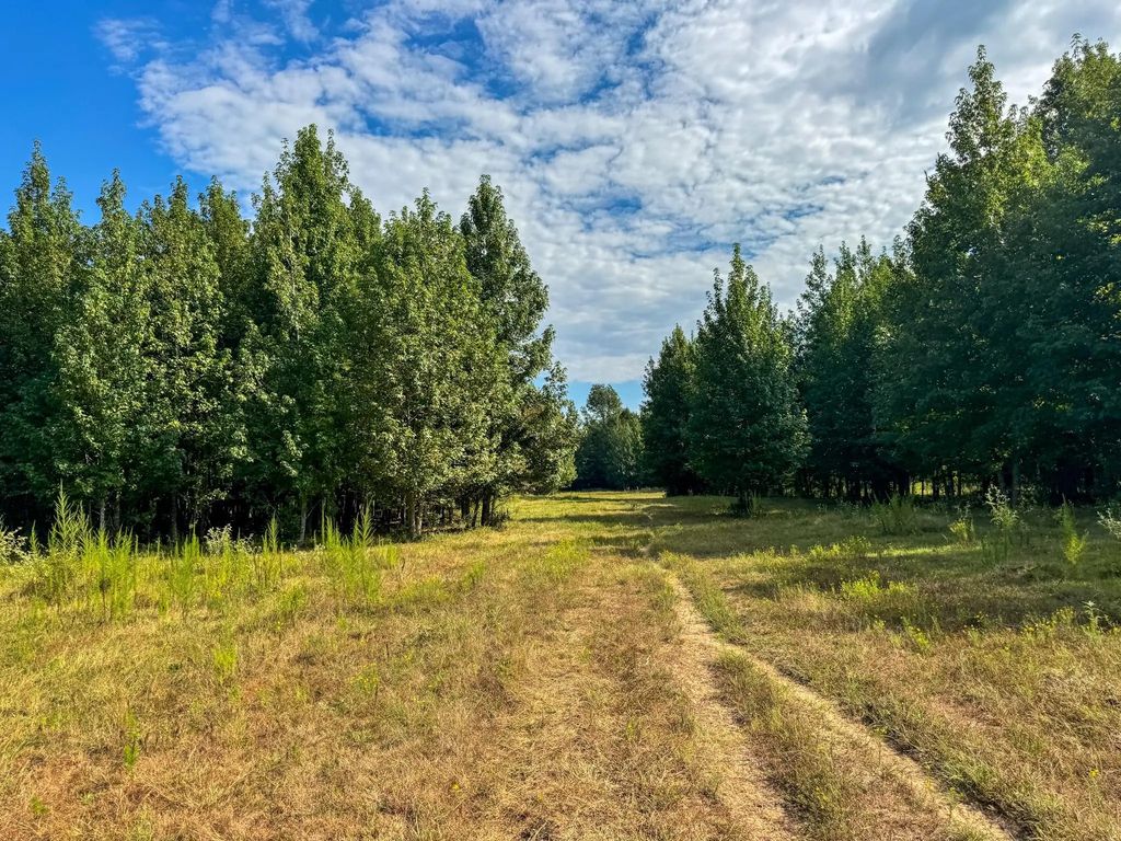 Hwy 49, Jefferson