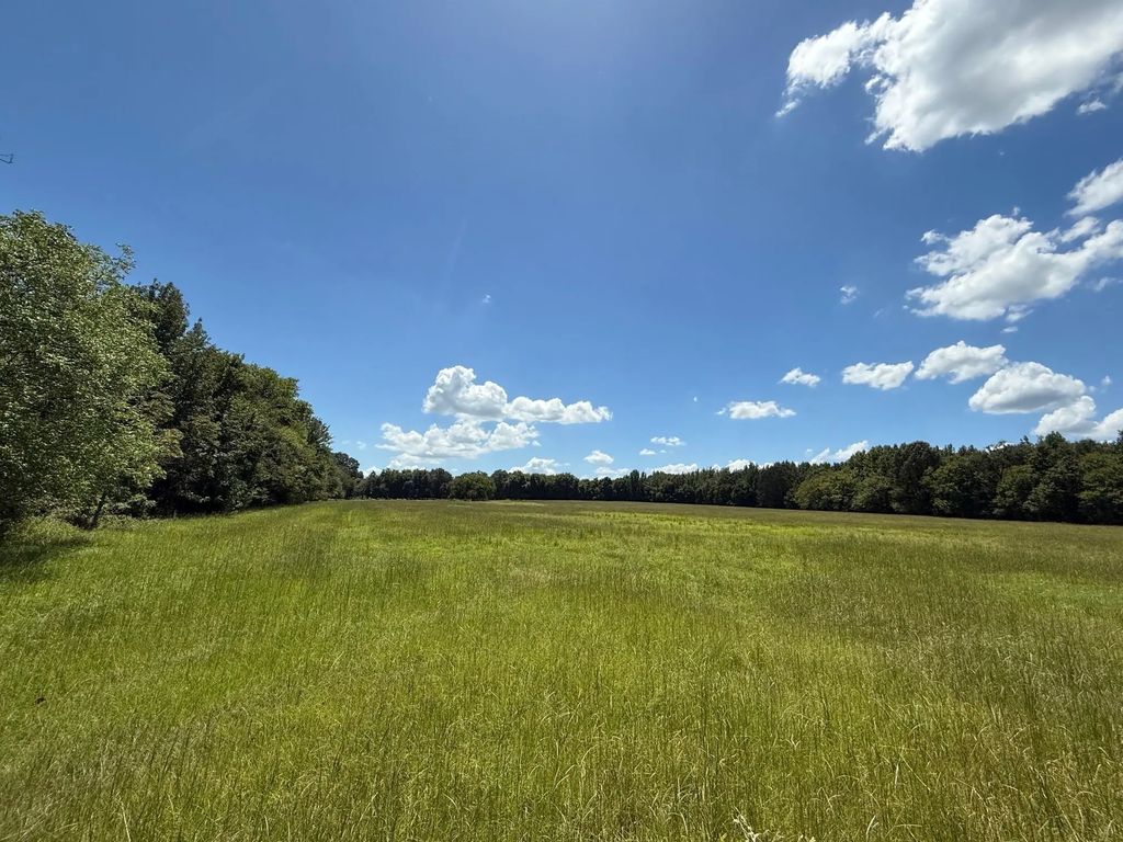 Cr 1670, Mount Pleasant