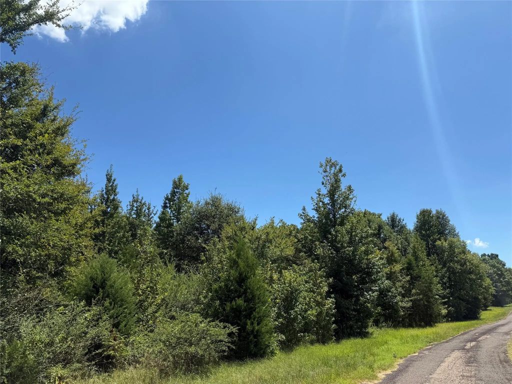 Tbd Cr 1662, Mount Pleasant