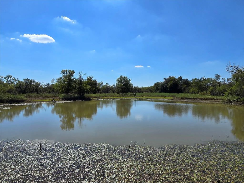 Tbd County Road 453, Ranger