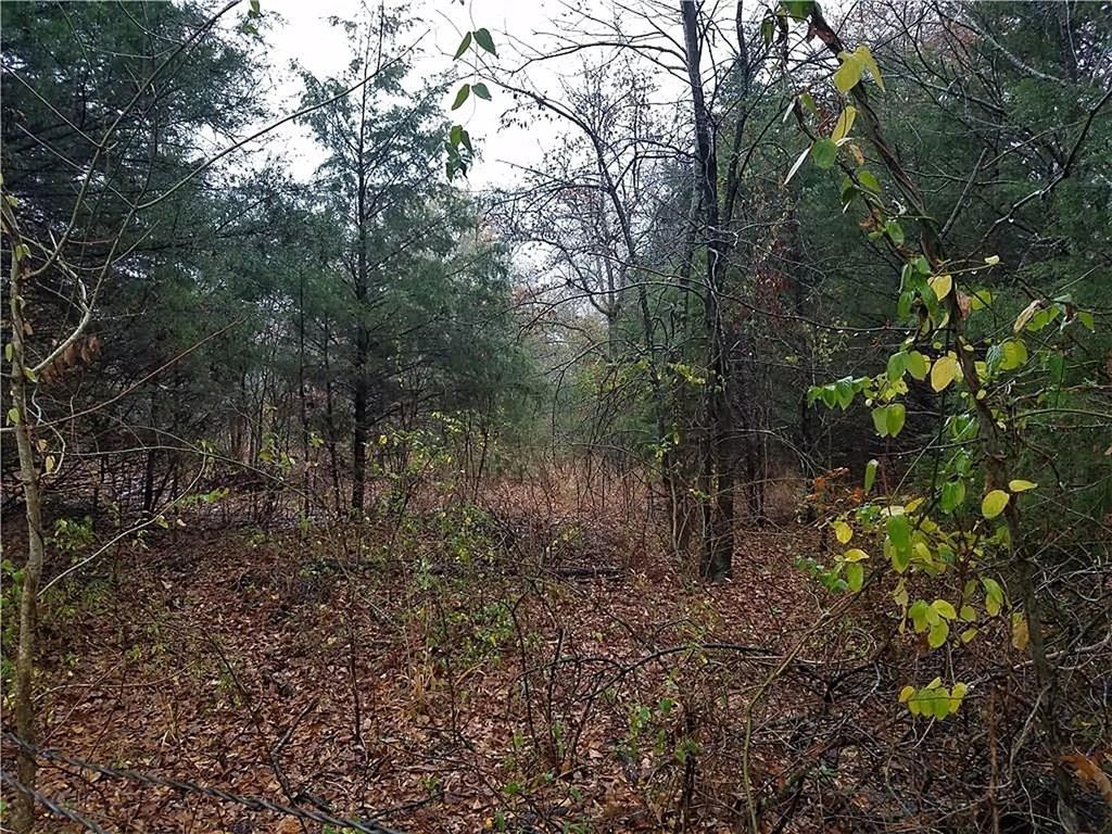 Sleepy Hollow Drive, Terrell
