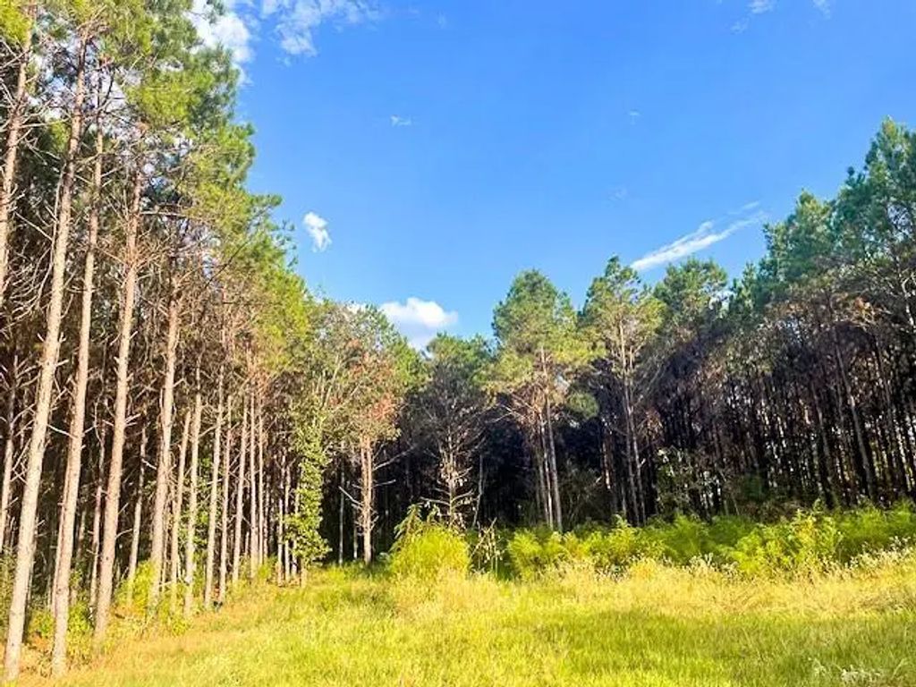 3564 Midway Loop E, Livingston