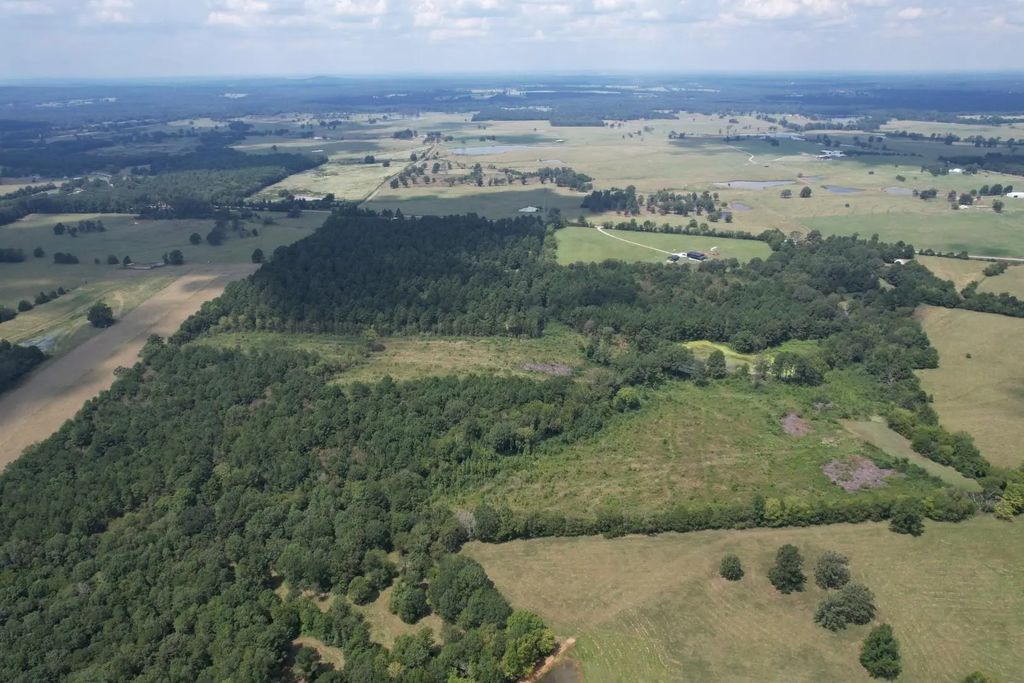 Tbd W Fm 1662, Laneville