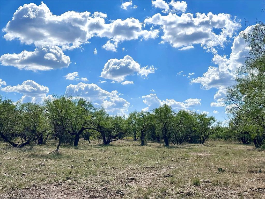 Tbd Tba County Road 100, Abilene