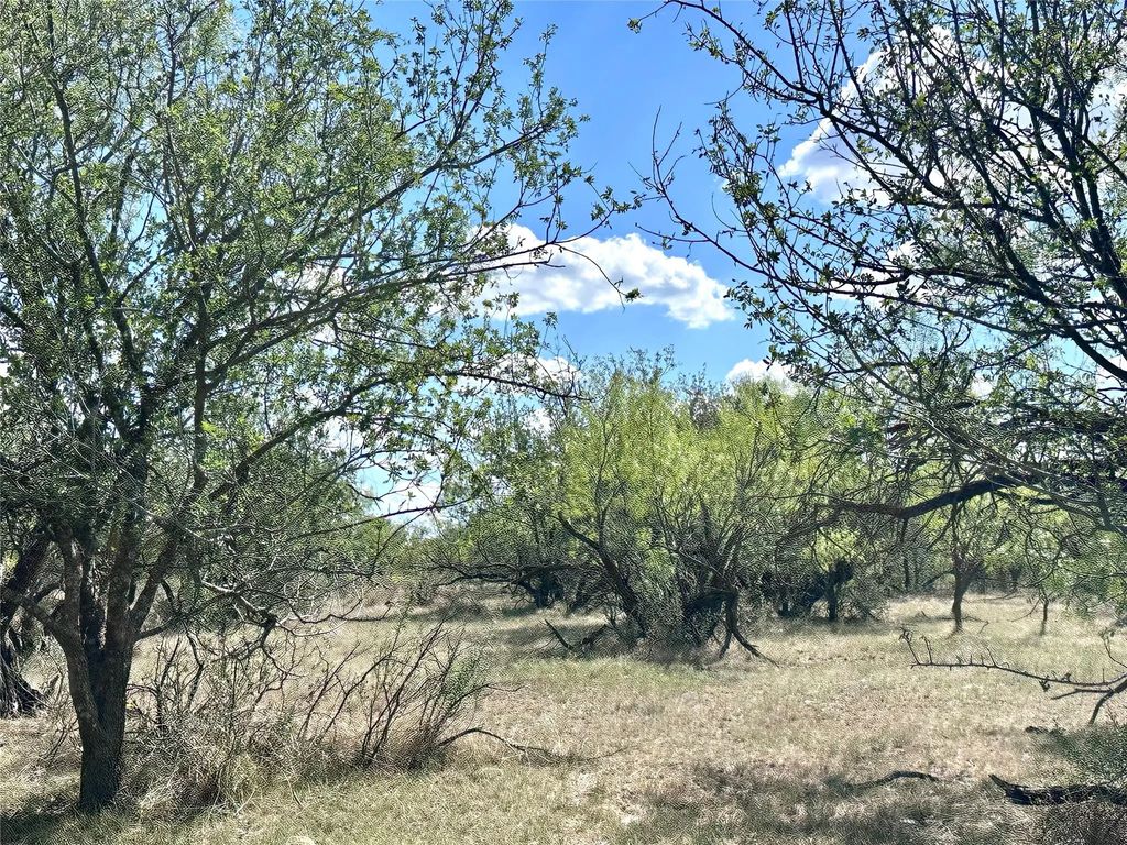 Tbd Tba Cr 100, Abilene