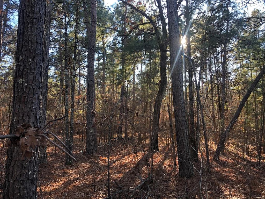 Highway 160, Plain Dealing