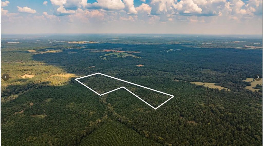Tbd County Road 1582, Avinger