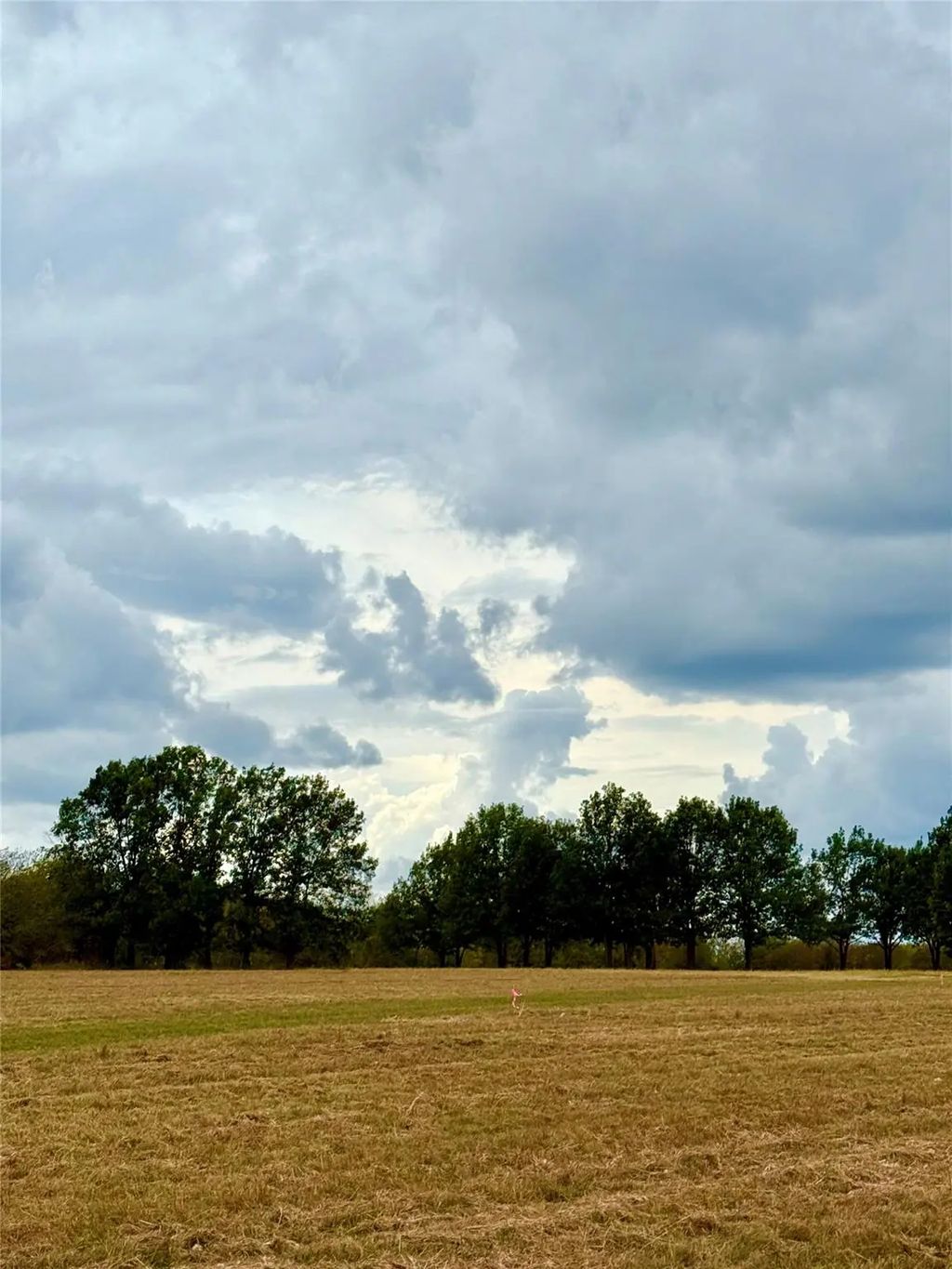 Tbd Lot 8 County Road 3811, Wills Point