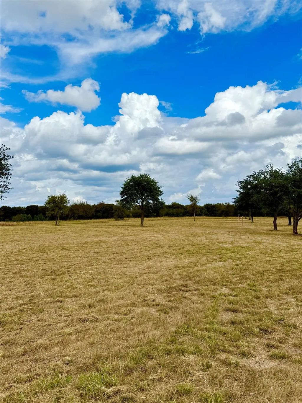 Tbd Lot 12 County Road 3811, Wills Point