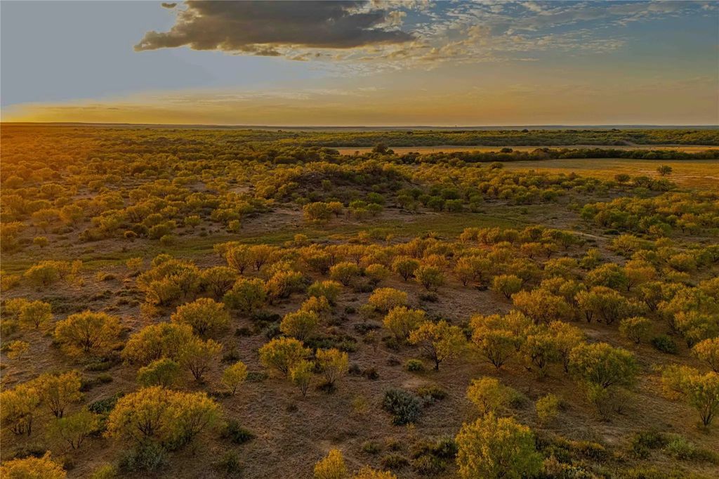 10579 Private Road 3151, Moran