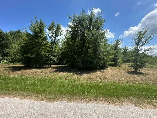 Photo of Listing #21091619