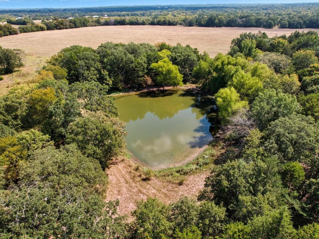 Cr-339, Terrell