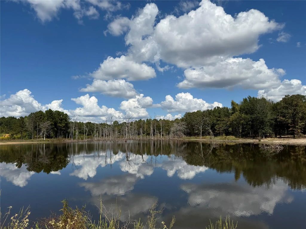 Tbd 100+/- Acres Sh 154, Quitman