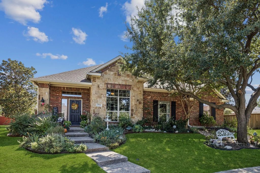 3721 Black Gold Drive, McKinney