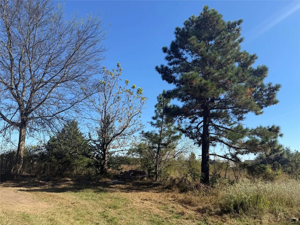 3240 Fm 2966, Quitman