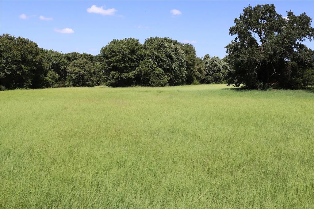 36 Acres Fm 1749, Sunset