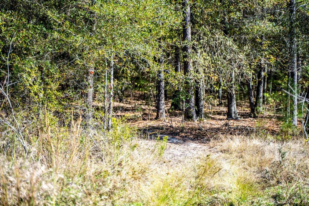 County Road 3235, Clarksville