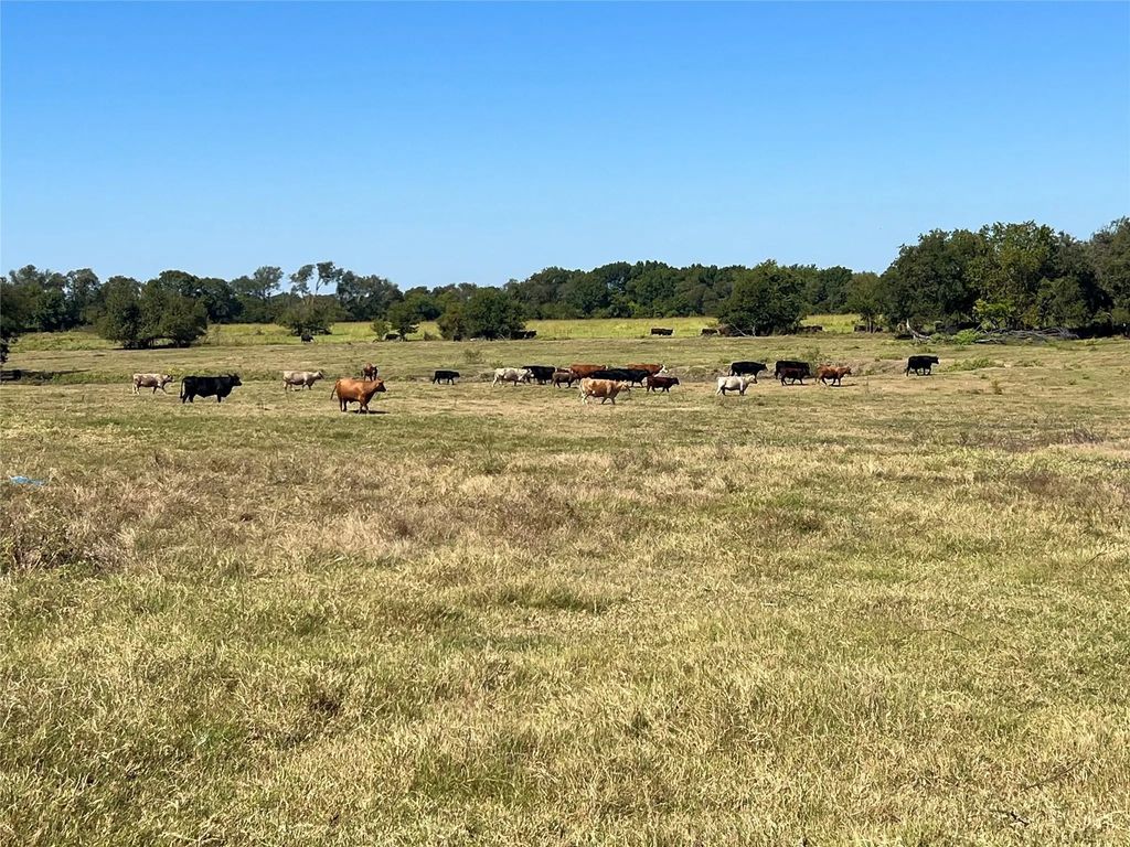 Tbd 1368 Acres Lowell Road, Milford