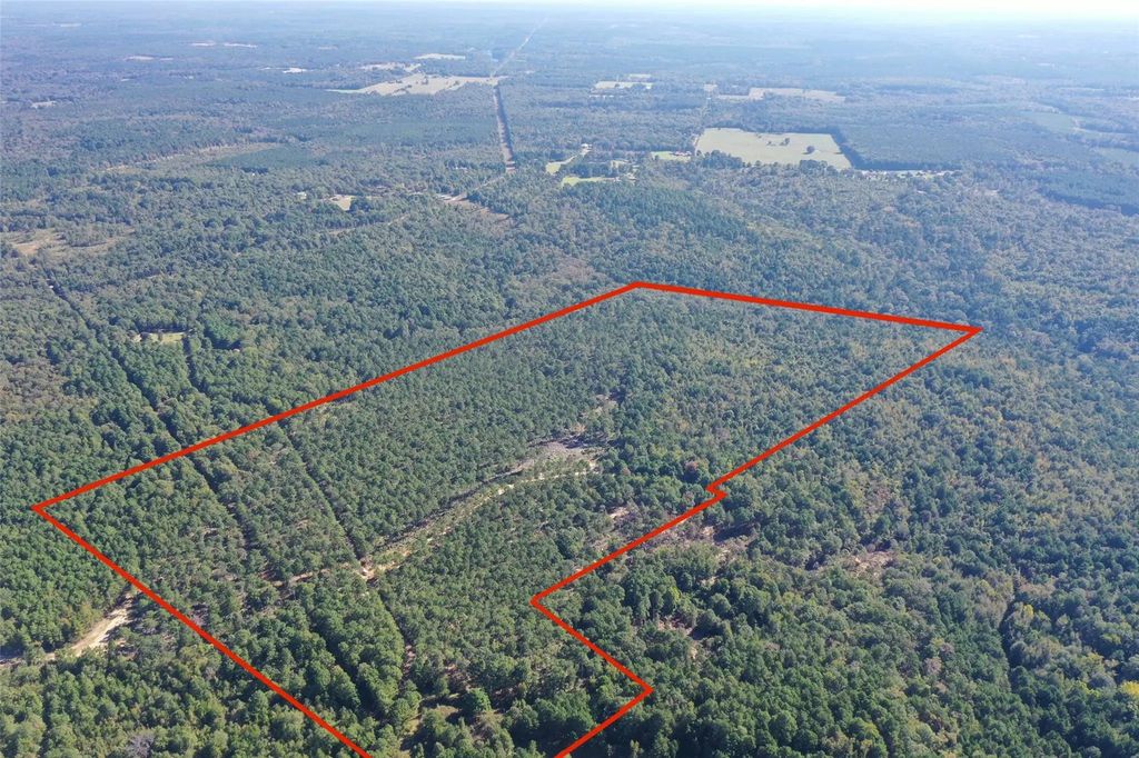Tbd Cr 1346, Linden