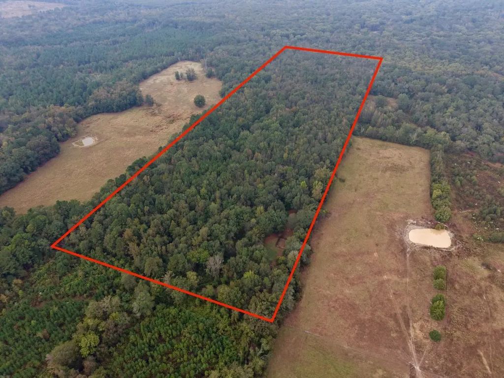 339 County Road 3966, Mineola