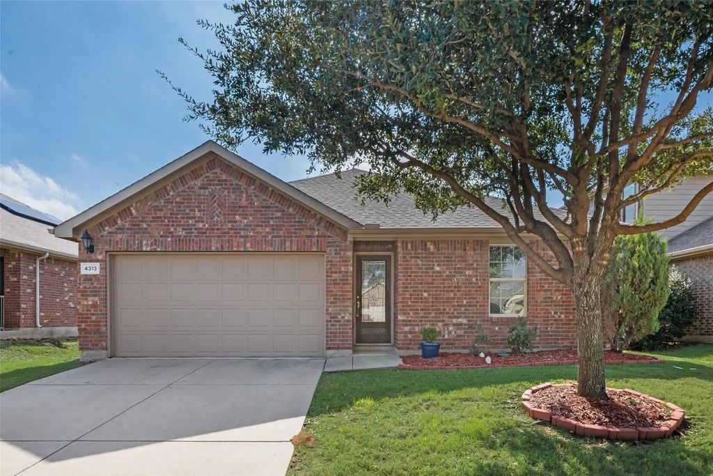 4313 Coney Island Drive, Frisco