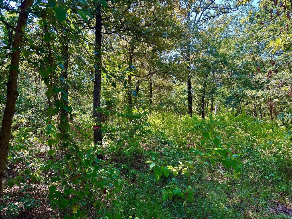 County Road 3641, Sulphur Springs