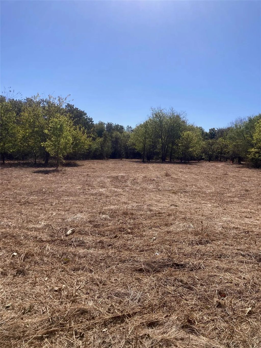 1615 Cr 429, Cleburne