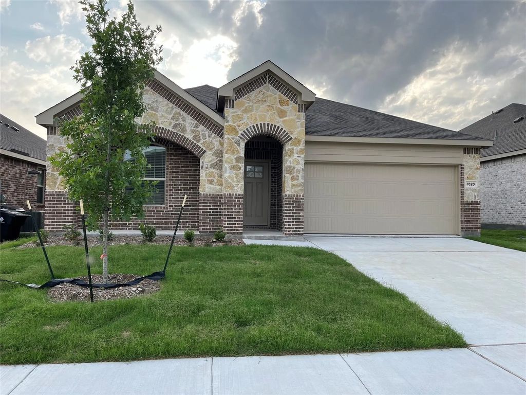 1520 Van Gogh Drive, Little Elm