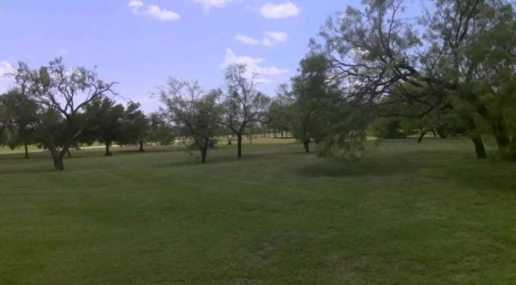 Brushy Creek Court, Royse City