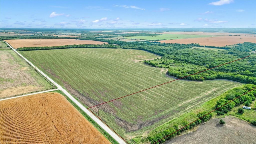 Tbd Winn, Collinsville