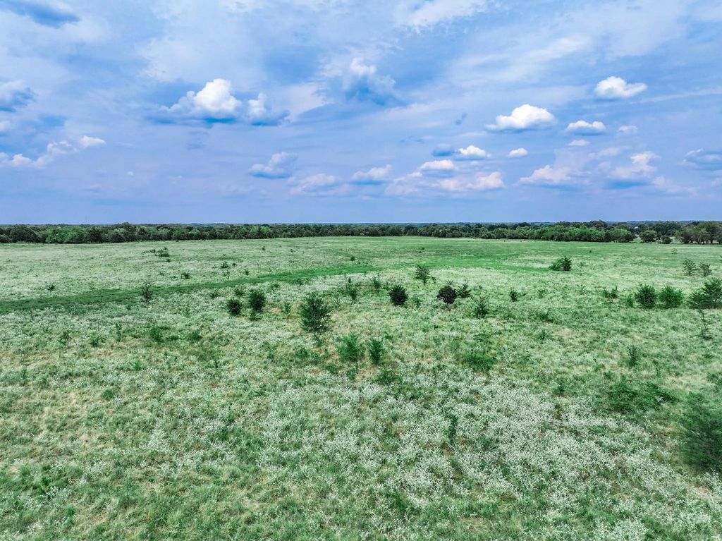Fm 71 Highway, Talco