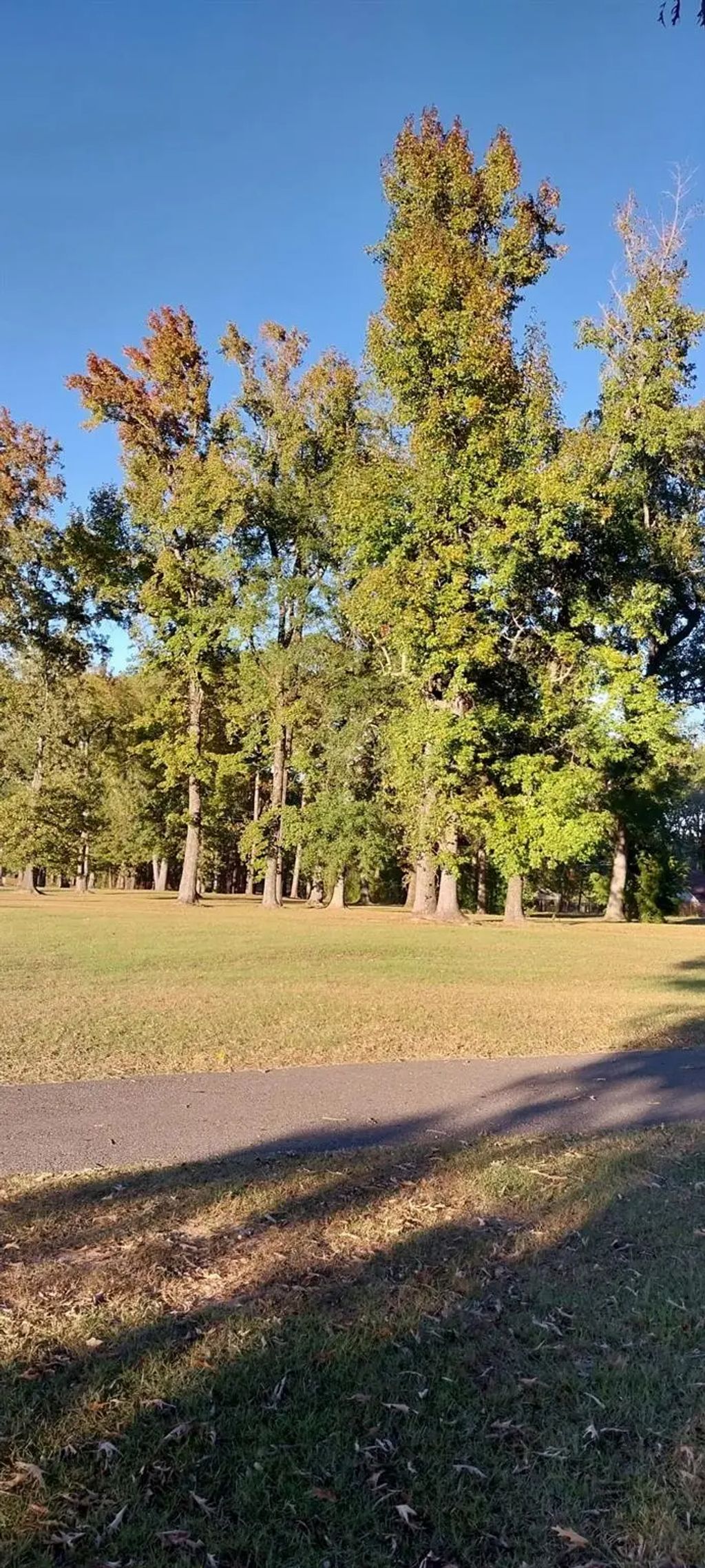 3113 Hwy 171, Stonewall