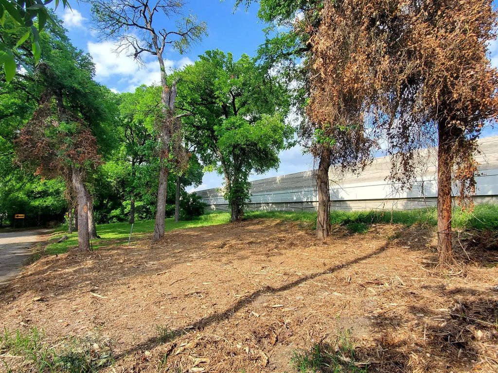 1716 Goyens Drive, Dallas