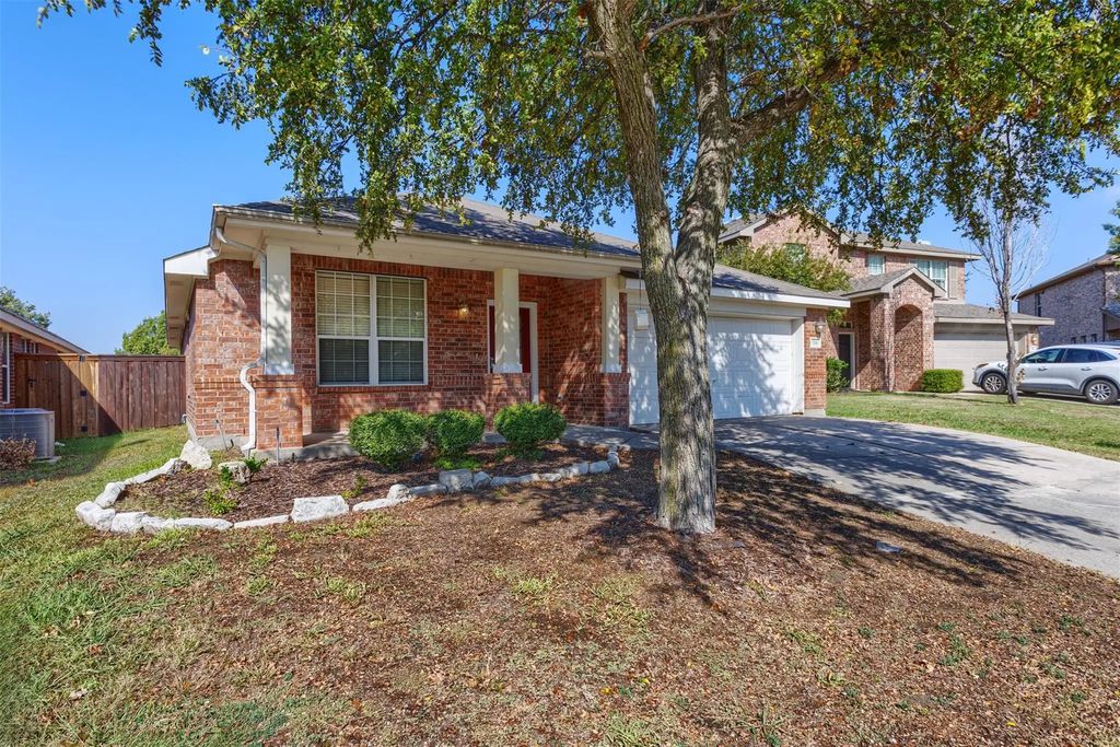 304 Hummingbird, Little Elm