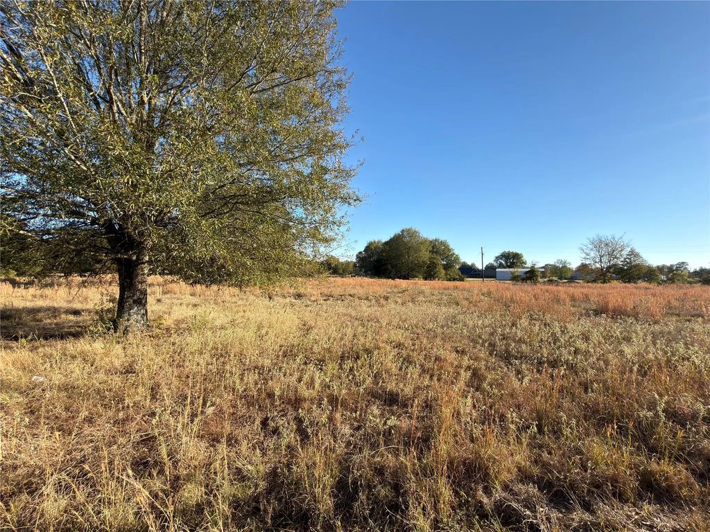 Lot 20 Tbd Pr 44005, Blossom