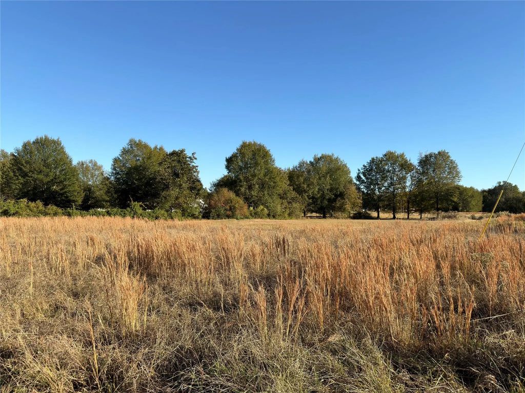 Lot 21 Tbd Pr 44005, Blossom